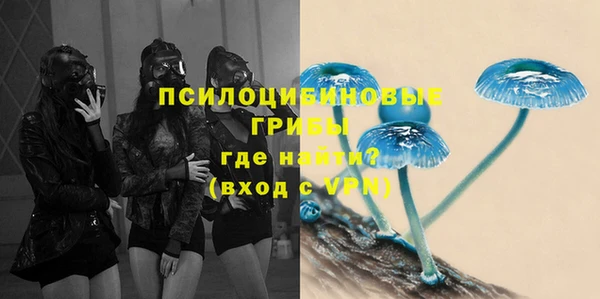 стаф Абдулино