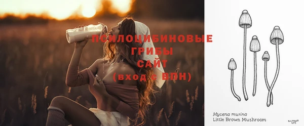 spice Надым