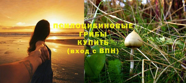 ECSTASY Абаза