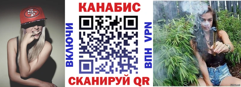 Конопля сатива  Костомукша 
